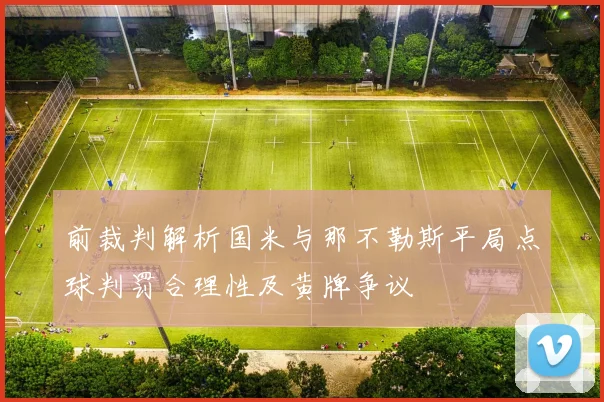 前裁判解析国米与那不勒斯平局点球判罚合理性及黄牌争议