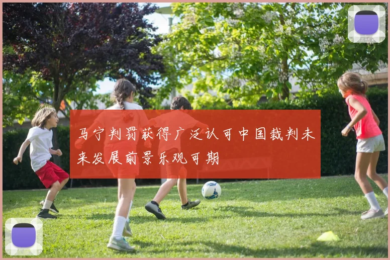 马宁判罚获得广泛认可中国裁判未来发展前景乐观可期